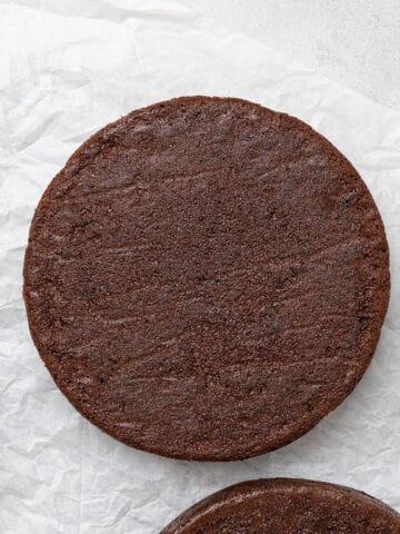 Chocolate sponge on a baking sheet.