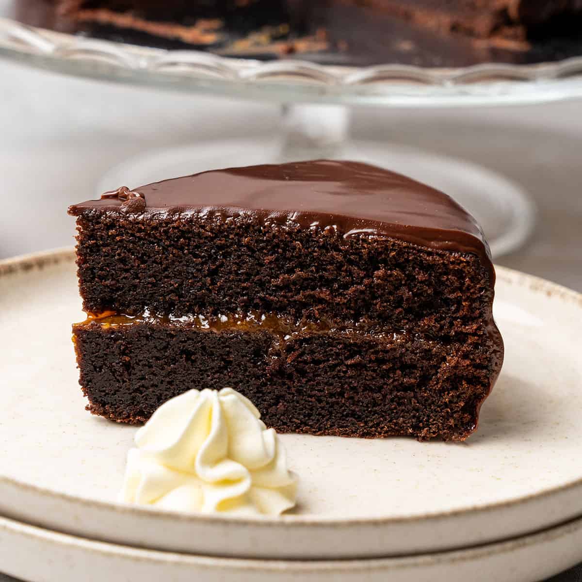 A slice of Austrian sacher torte cake on a plate.