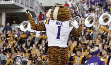 Cry of the Tiger: LSU’s Live Animal Return Spurs Uproar