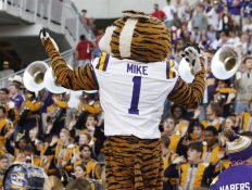 Cry of the Tiger: LSU’s Live Animal Return Spurs Uproar