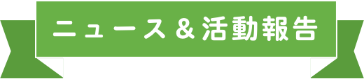 ニュース&活動報告