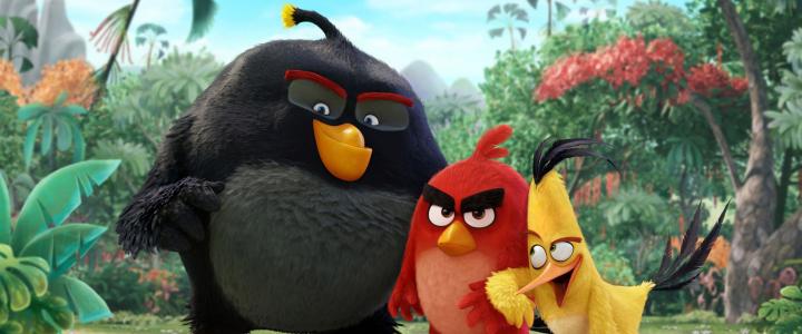 The Angry Birds Movie