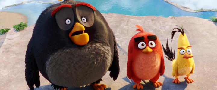 The Angry Birds Movie