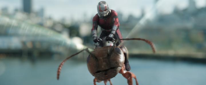 Ant-Man and the Wasp