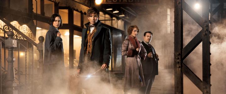 Fantastic Beasts and Where to Find Them