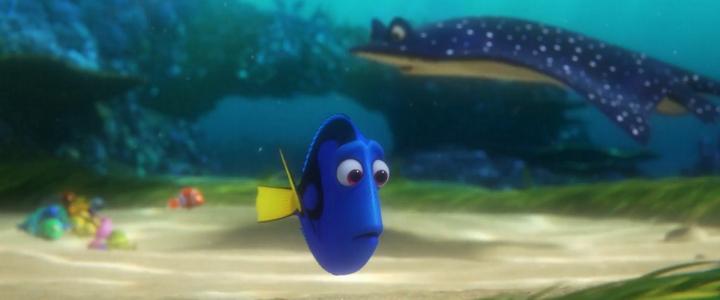 Finding Dory