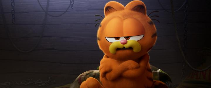 The Garfield Movie