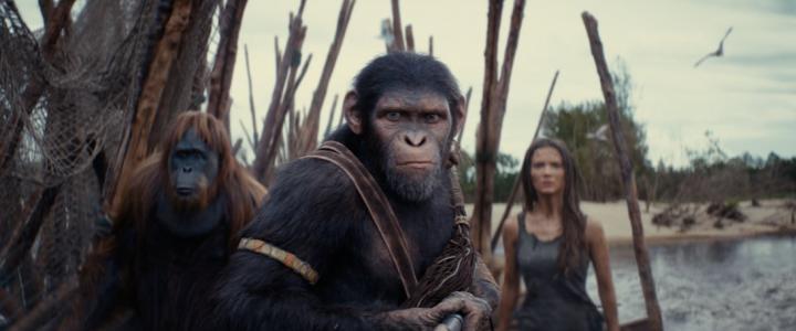 Kingdom of the Planet of the Apes