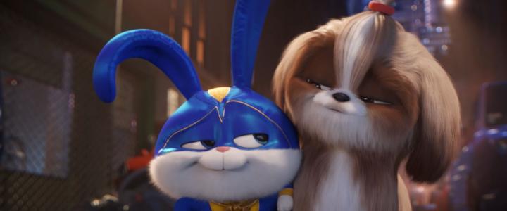 The Secret Life of Pets 2