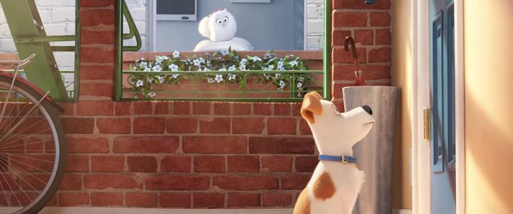 The Secret Life of Pets