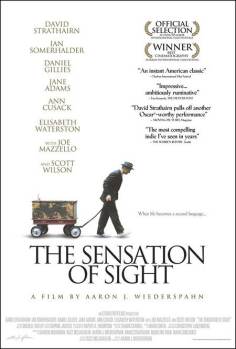 The Sensation of Sight