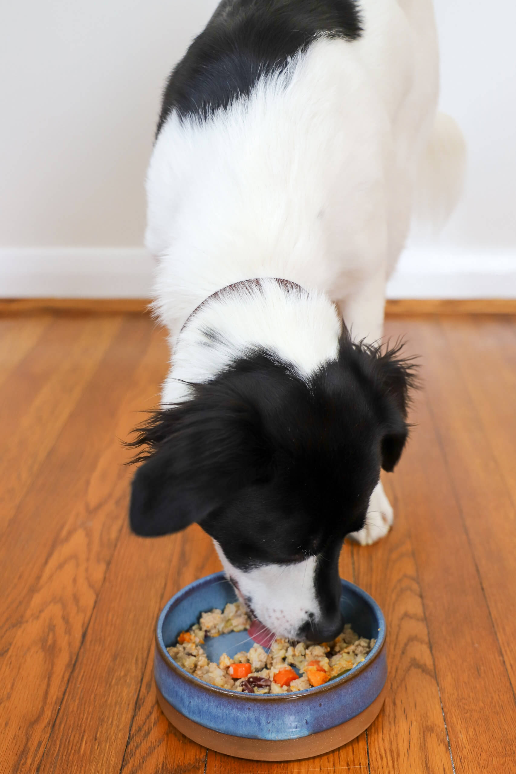 Slow Cooker Dog Food with Ground Turkey and Veggies