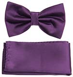 Dark Plum Bow Tie and Hankie Set