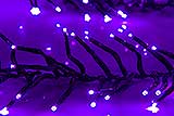 Multi Mode Rice Cluster Twinkling Purple Christmas Lights