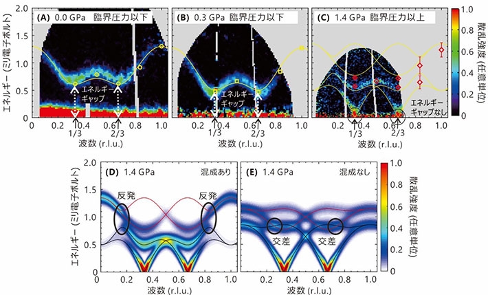 （A）-（C） さまざまな圧力下で測定されたCsFeCl3の中性子スペクトル。大気圧下（A）と0.3ギガパスカル（B）では1本のスペクトルが観測されたが、量子臨界点近傍の1.4ギガパスカル（C）では複数の特徴的なスペクトルが観測された。（D）、（E） 中性子スペクトルの計算結果。位相モードと振幅モードの混成を考慮した計算（D）は実験（C）を再現するが、考慮しない計算（E）は実験（C）を再現しない。