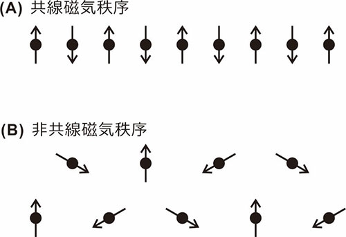 （A）共線磁気秩序の例 （B）非共線磁気秩序の例