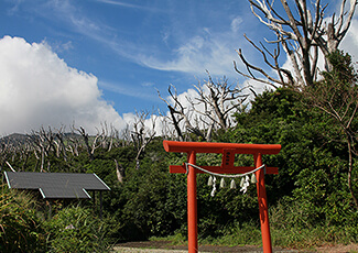 椎取神社