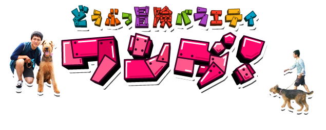 どうぶつ冒険バラエティ　ワンダ！