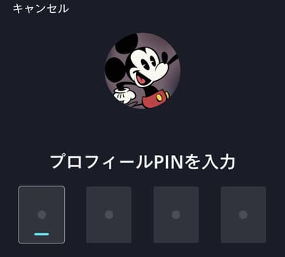 disneyplus_kaiyaku2