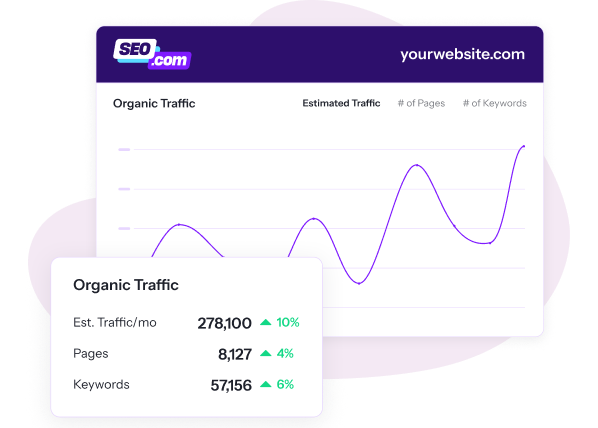 SEO Checker Tool