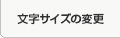 文字サイズの変更