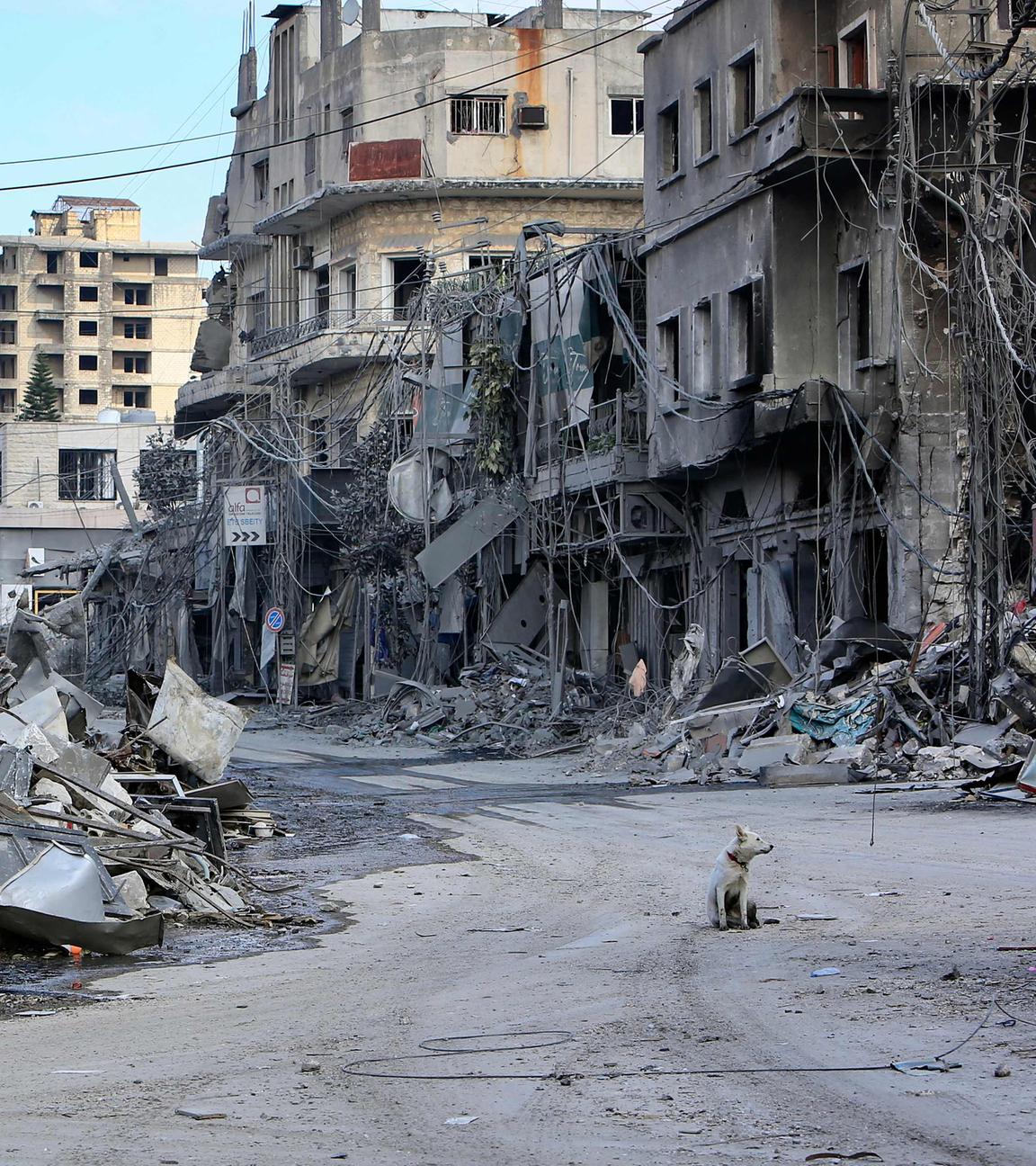 TOPSHOT - A dog sits amid the destruction a day after Israeli airstrikes that targeted the southern Lebanese city of Nabatieh on October 17, 2024. 