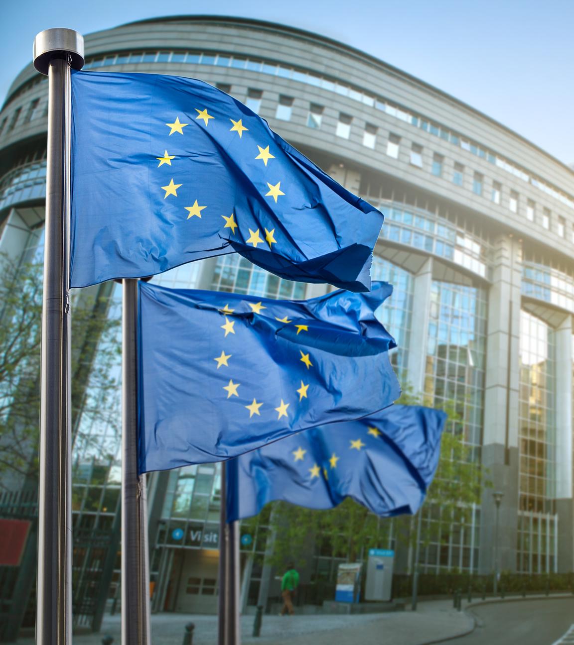 Fahnen der EU wehen vor dem Parlament in Brüssel.